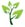 Planta