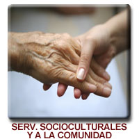 Servicios